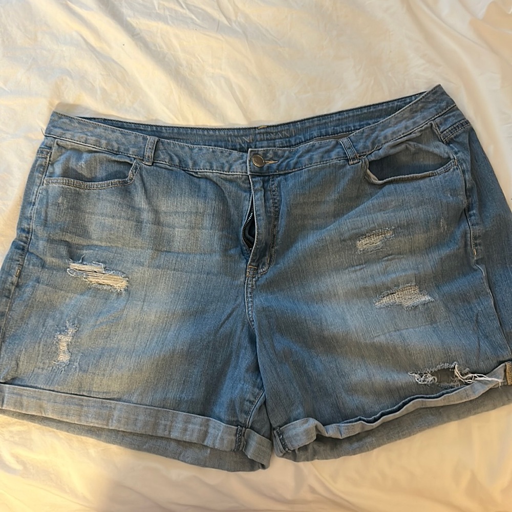 Lane Bryant Distressed Jean Shorts